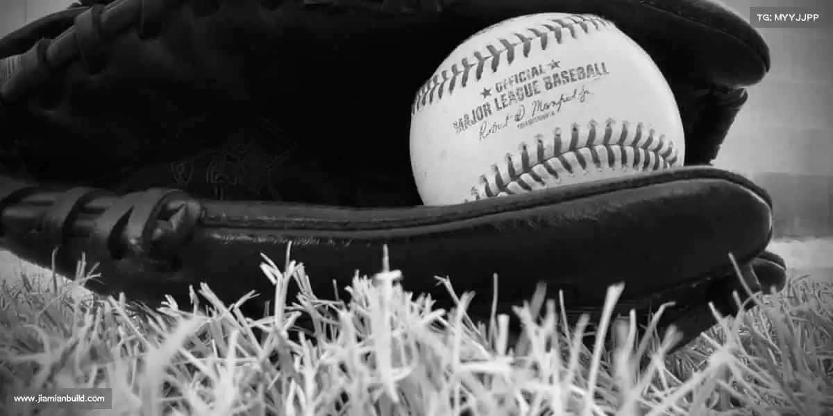 我们的品牌价值